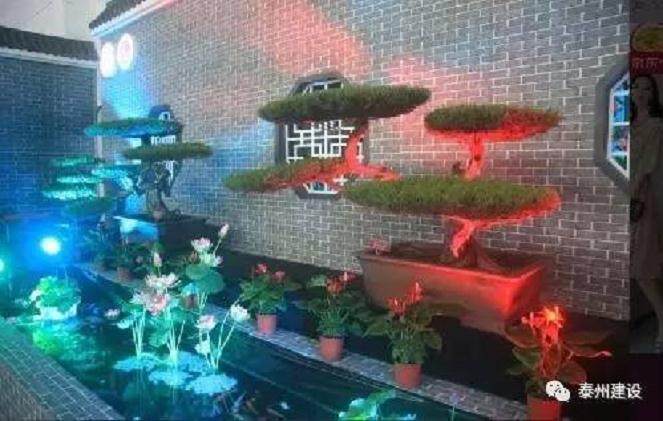 扬派盆景在泰州市首届非遗博览会上精彩亮相