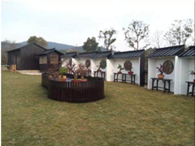 第六届梅花盆景展已于2015年1月6日亮相