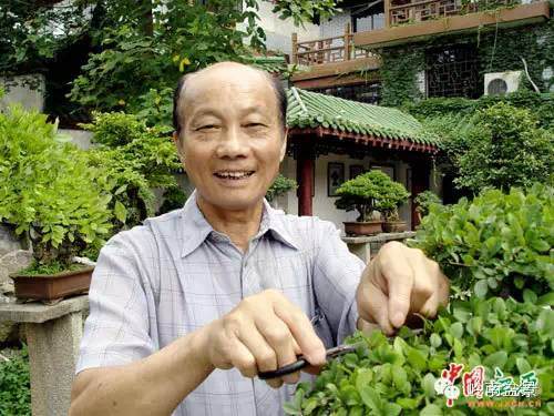 陈顺远:江西盆景艺术的开拓者