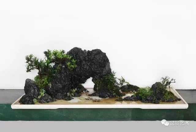 山水盆景盆面怎么修饰的方法