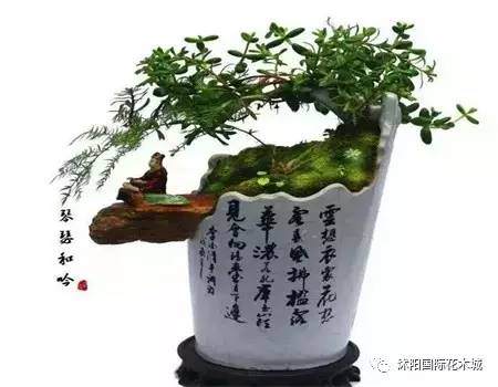 酒瓶怎么制作盆景的方法