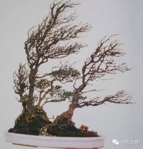 中国盆景艺术大师贺淦荪作品欣赏