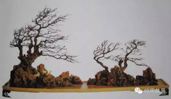 中国盆景艺术大师贺淦荪作品欣赏