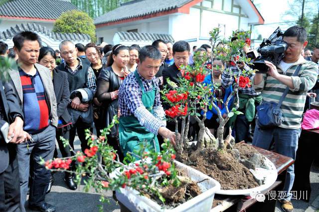 中国川派盆景艺术小镇&mdash;安龙欢迎您！