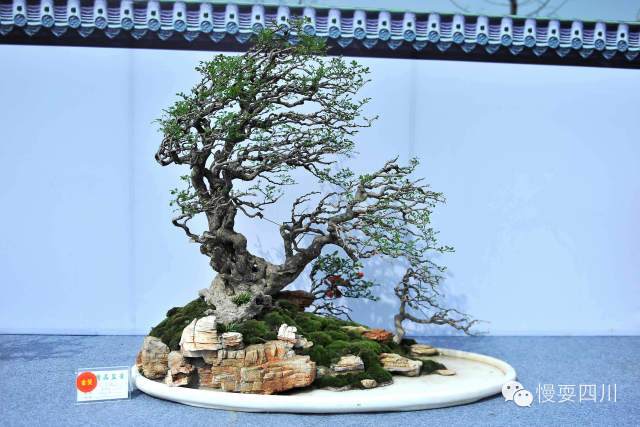 中国川派盆景艺术小镇&mdash;安龙欢迎您！