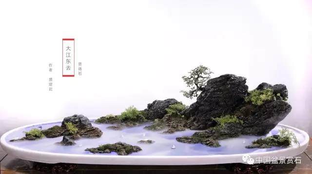 盛定武、朱文博、钱建港被誉为“靖江盆景三杰”。