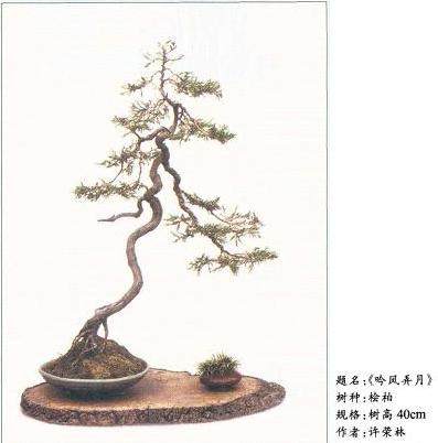 天赋与经过提炼加工过的生活融为一体