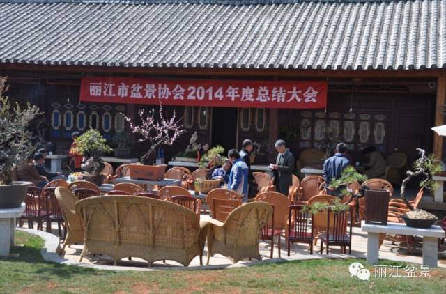 朝气蓬发扬帆起航&mdash;&mdash;丽江盆景在路上