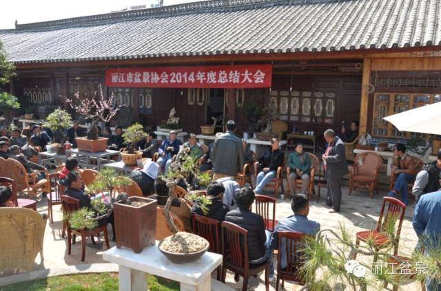 朝气蓬发扬帆起航&mdash;&mdash;丽江盆景在路上