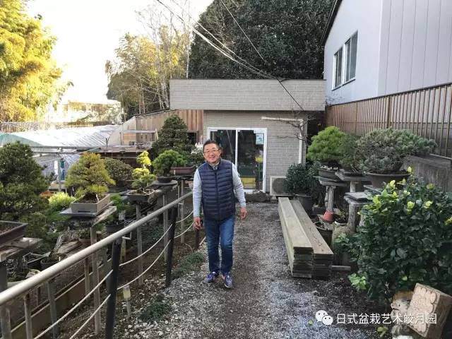 日本盆景松岡大师来皎月园指导盆景创作