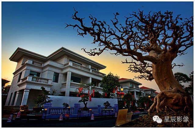 鹤山市第二届盆景艺术博览会【图】