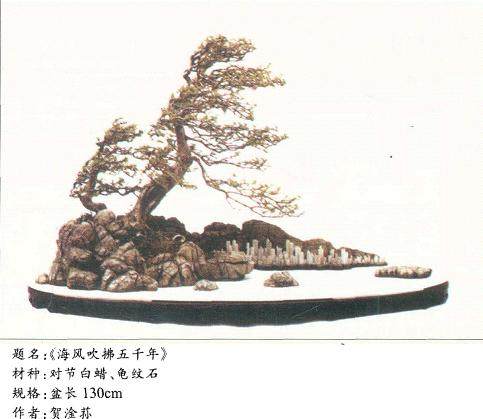 论_自然式盆景_郑忠强