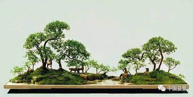 盆景取名意在点题