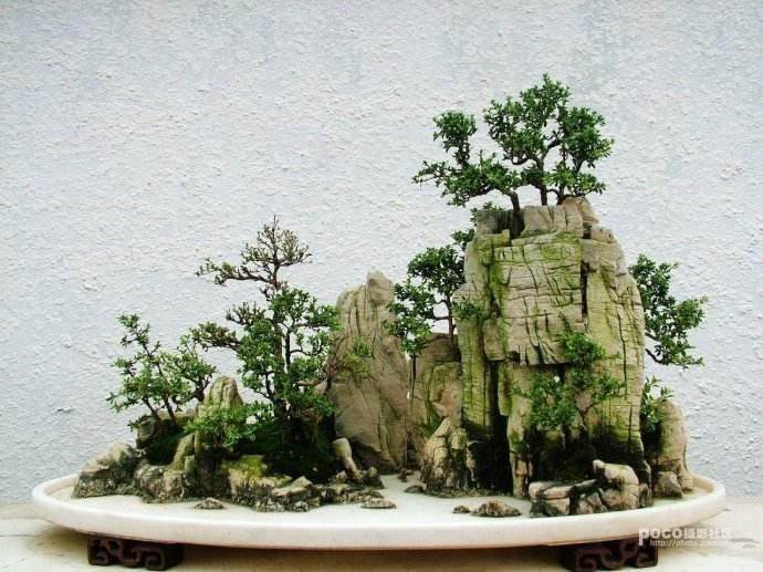 山水盆景中的配件有时能取画龙点睛的作用？