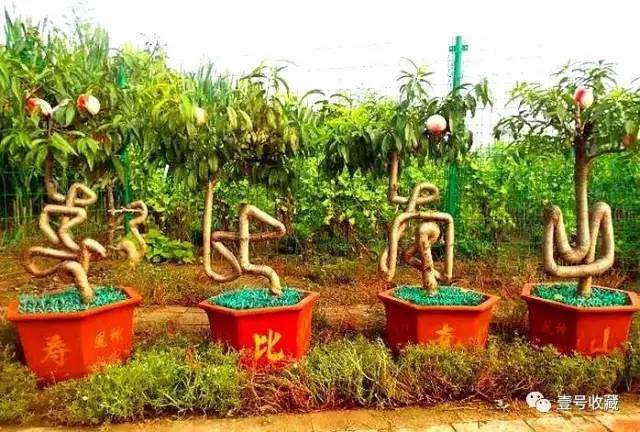 制作汉字草书盆景的5个步骤