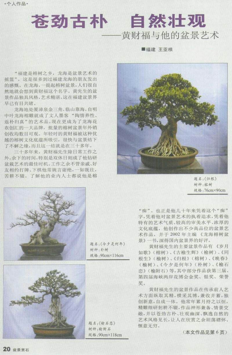 黄财福与他的盆景艺术
