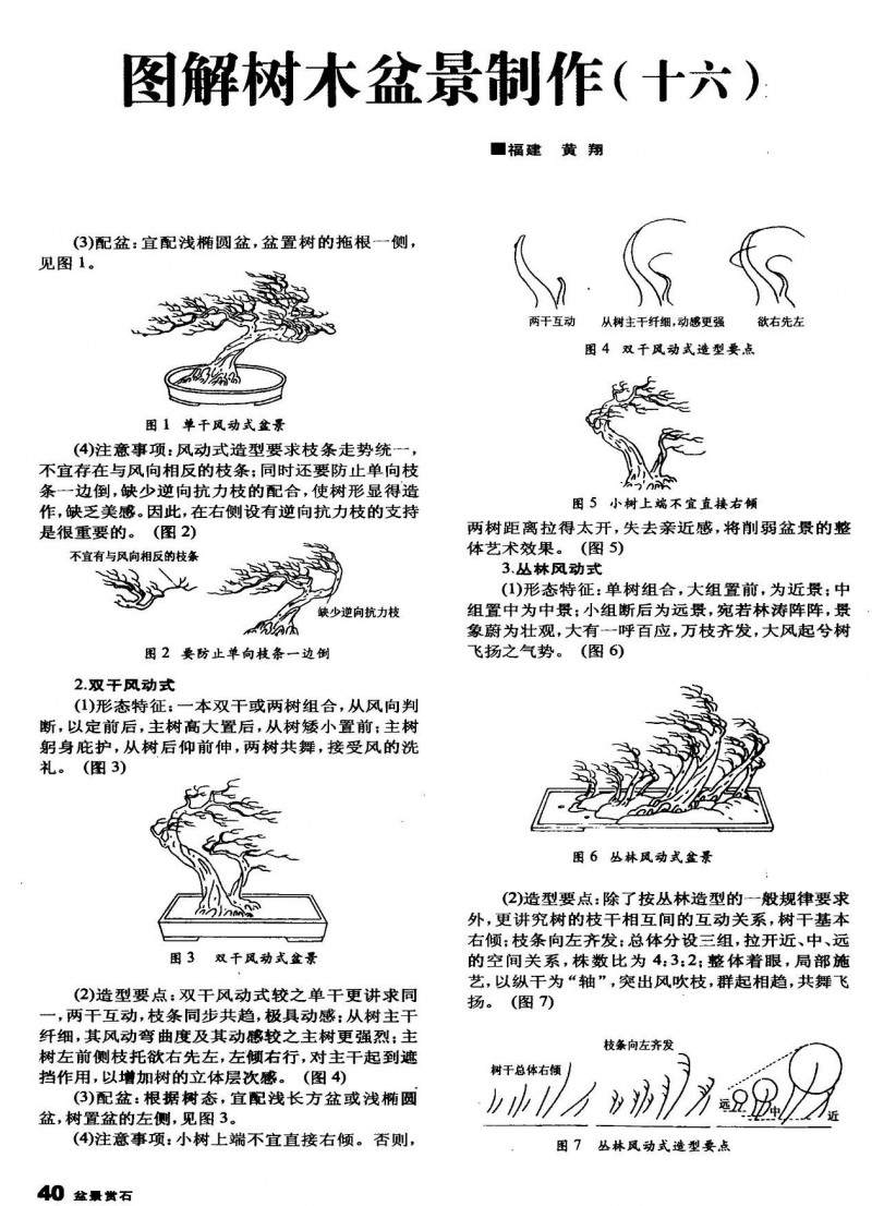 图解树木盆景制作（十六）「图解」