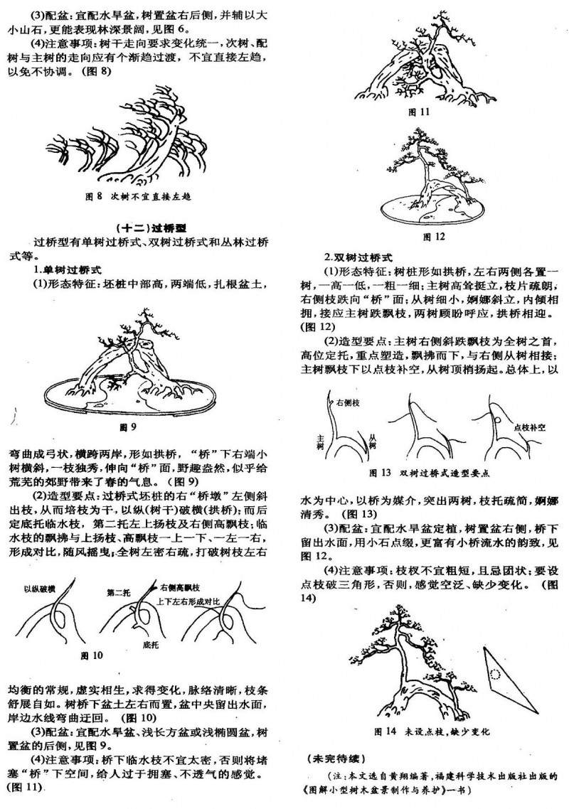 图解树木盆景制作（十六）「图解」