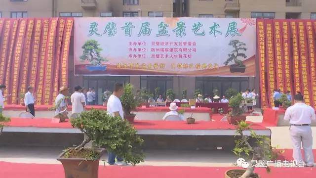 灵璧首届盆景艺术展开展【多图】