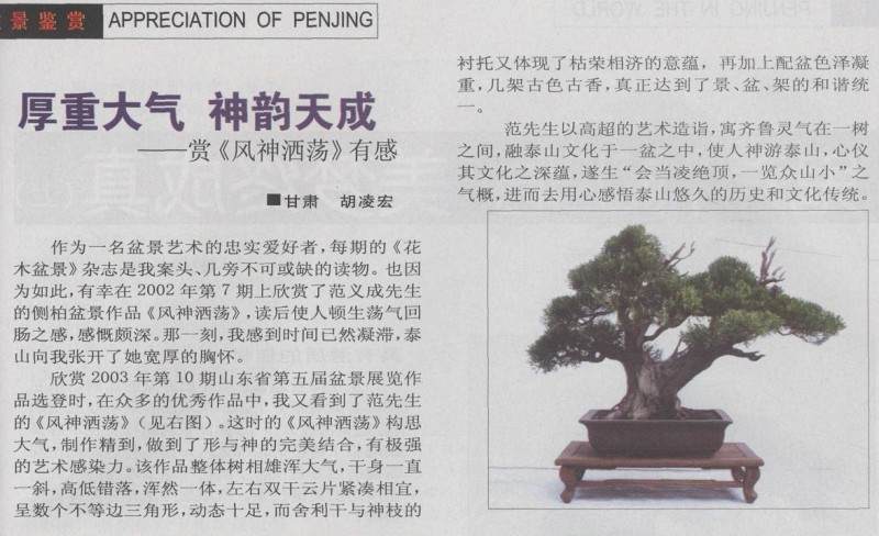 作为一名盆景艺术的忠实爱好者