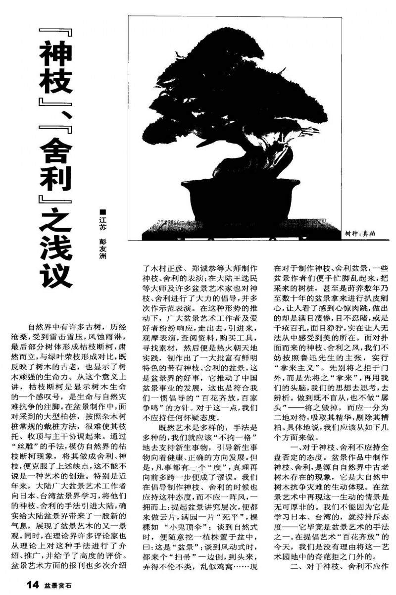 盆景“神枝”、“舍利”之浅议【图示】