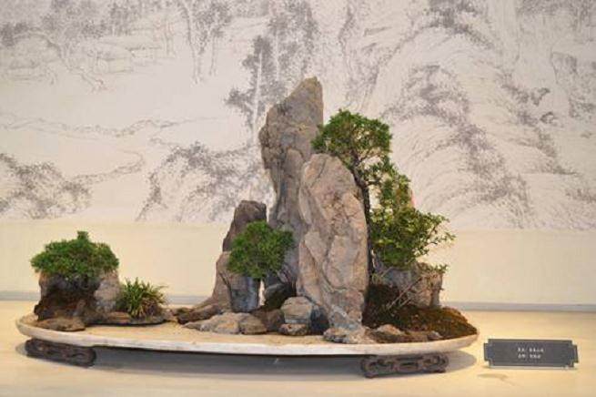 怎样在山水盆景中点缀植物？