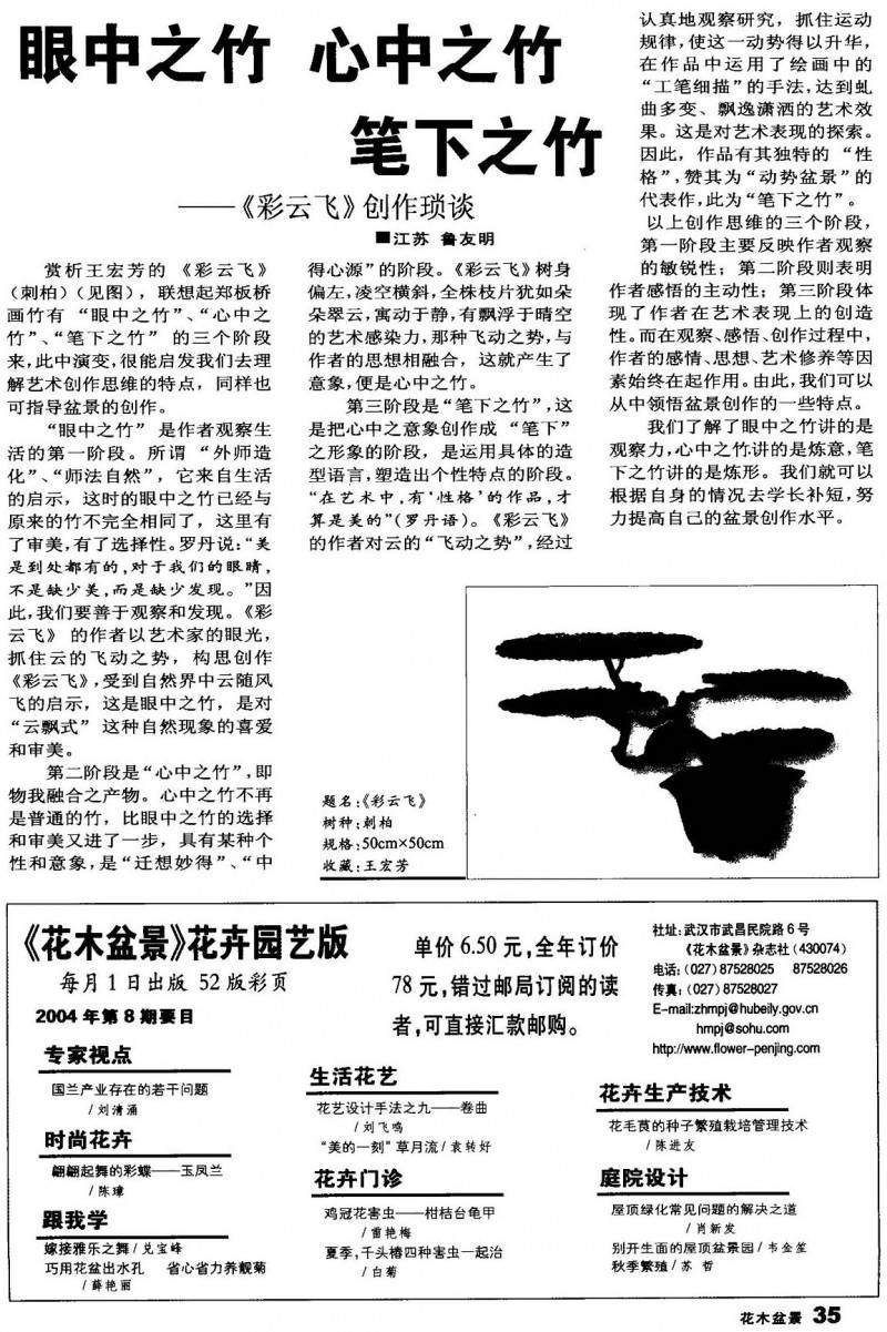 盆景作品《彩云飞》制作琐谈