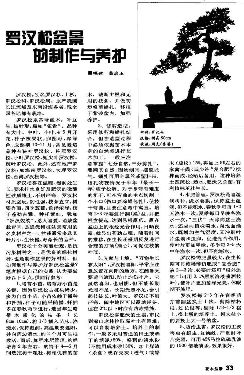 如何制作与养护好罗汉松盆景?【图文】