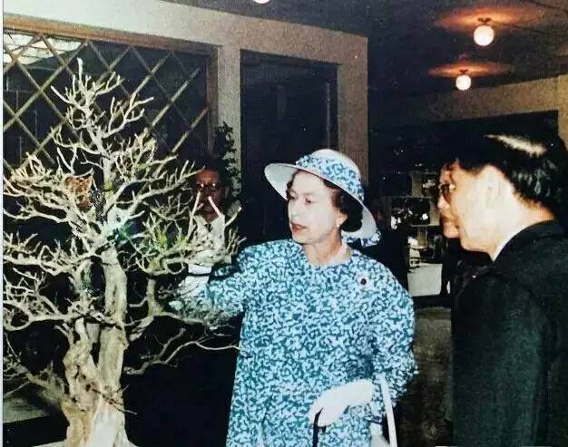 关于搜集中国盆景现代史资料的通知