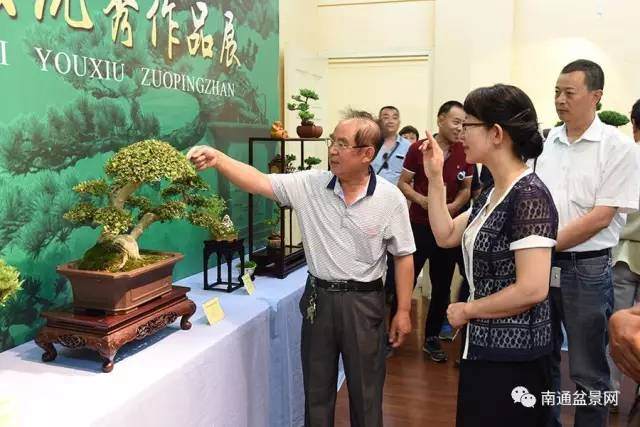 南通市职工盆景协会优秀作品展