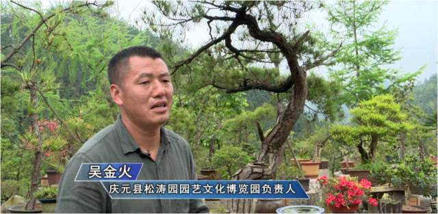 吴金火：深挖文化内涵 小盆景做成致富大产业