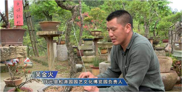 吴金火：深挖文化内涵 小盆景做成致富大产业