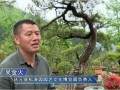 吴金火深挖文化内涵 小盆景做成致富大产业