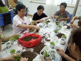 何家塔社区DIY多肉盆景活动