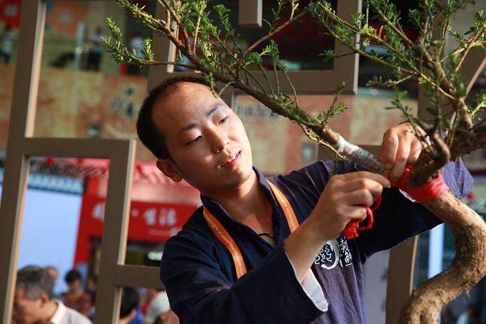 非遗节上给你好看 全国25位传承人怎么玩转盆景【天】