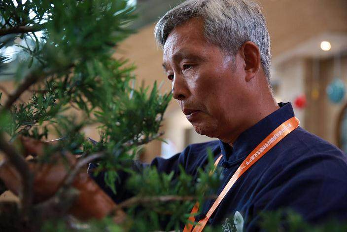 非遗节上给你好看 全国25位传承人怎么玩转盆景【天】