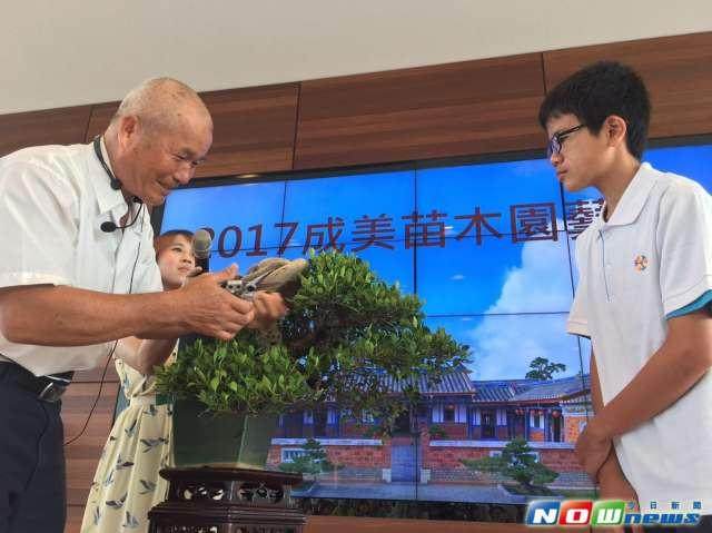 全台湾最美35组盆景 让您一次尽收眼底