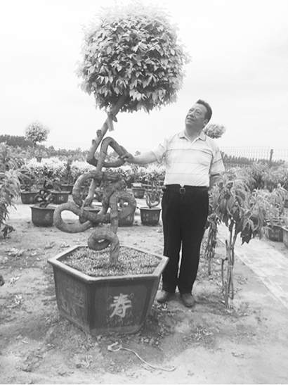 让全村都学会种植草书盆景 加入到绿色创业的行列