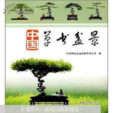 《各种草书盆景技术内部资料汇编》