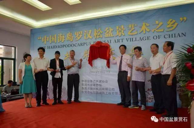 2015年给东莞颁发&ldquo;中国海岛罗汉松盆景艺术之乡&rdquo;荣誉称号