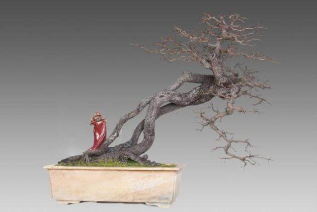 花木盆景绿满军营