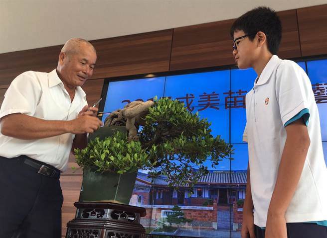 成美文化园盆栽展,有如2017世界展暖身秀
