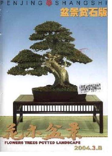 2004年花木盆景杂志主要目录