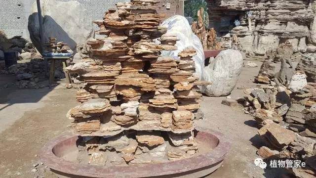 盆景小假山制作选材要点