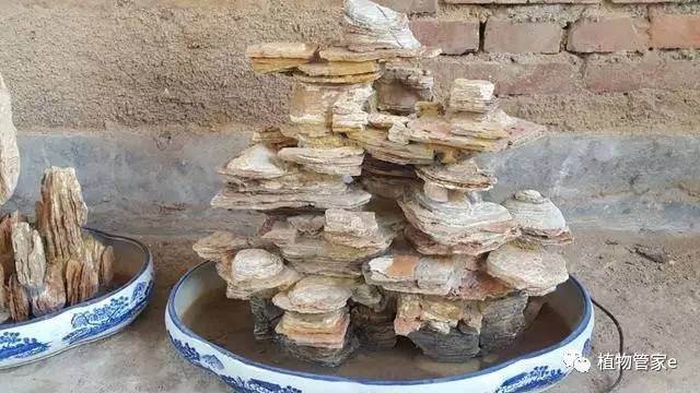 盆景小假山制作选材要点