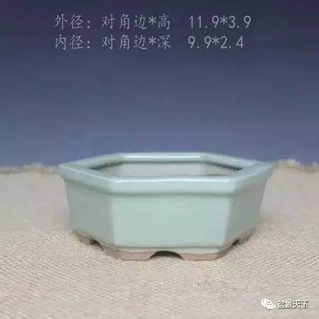 如何选择合适的盆景用盆 你的盆景用对盆了吗?