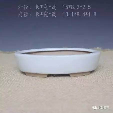 如何选择合适的盆景用盆的8个方法