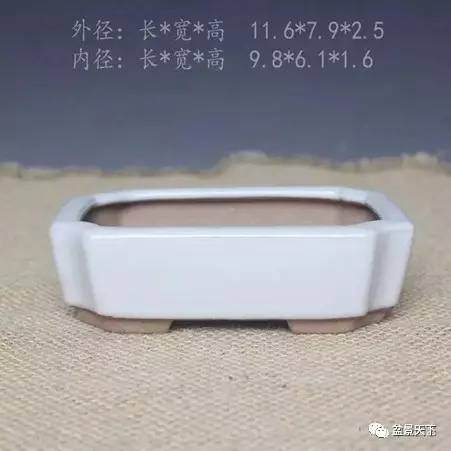 如何选择合适的盆景用盆 你的盆景用对盆了吗?