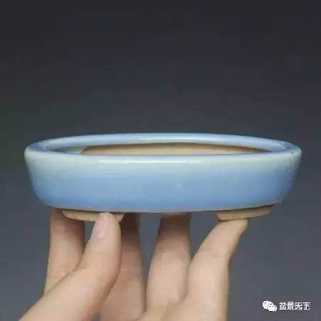 如何选择合适的盆景用盆的8个方法