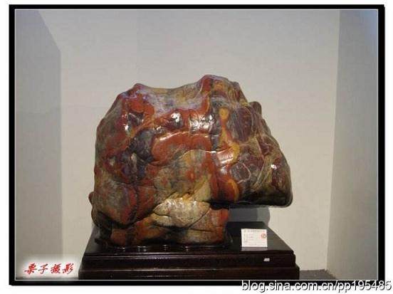 广西贺州市奇石盆景协会成立